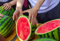 长清大学aj吃瓜爆料,揭秘校园风云背后的真相